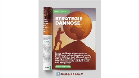 Strategie dannose