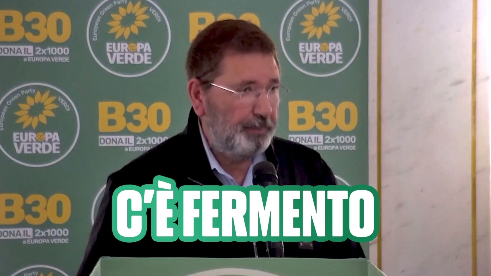 11 maggio - Consiglio Federale Europa Verdi