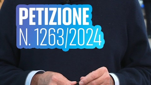 L'inceneritore di Roma e la petizione n.1263/2024